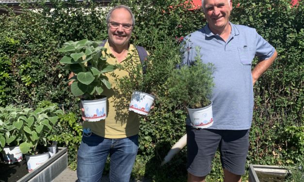 Marco Büttgenbach im Interview im WDR 5 Podcast „Alles in Butter“ – von Salbei, Colakraut und Teilhabe in der Alexianer Klostergärtnerei