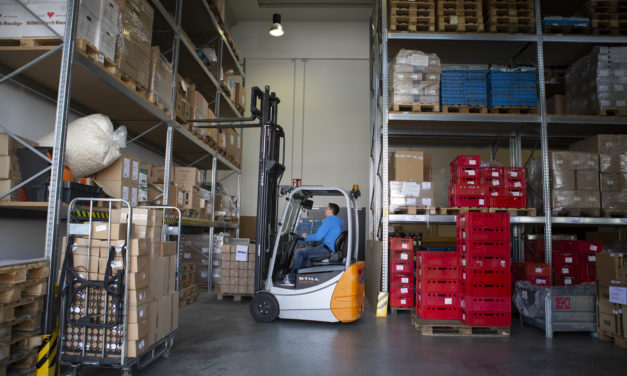 Betriebsintegrierte Arbeitsplätze als Weg in den allgemeinen Arbeitsmarkt